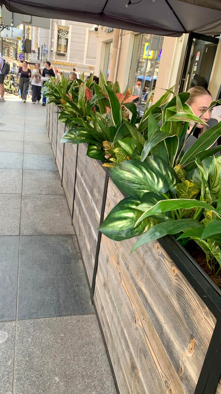 Ресторан FRANK на Рубинштейна г. Санкт-Петербург