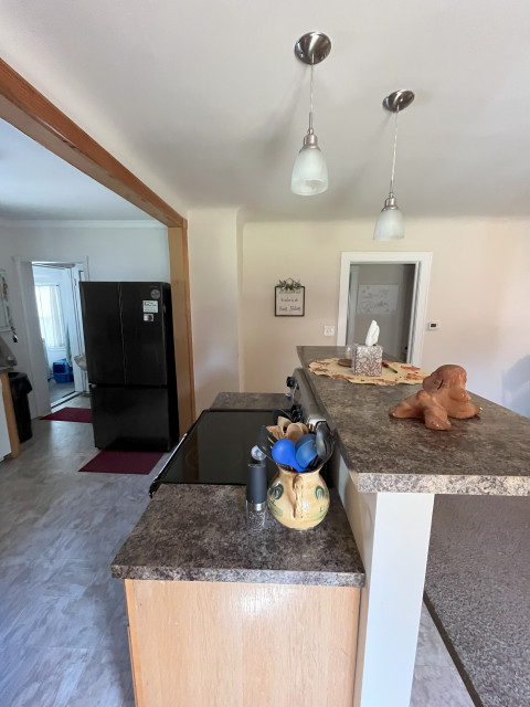 kitchen correction transitional