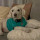 jamie_erickson64