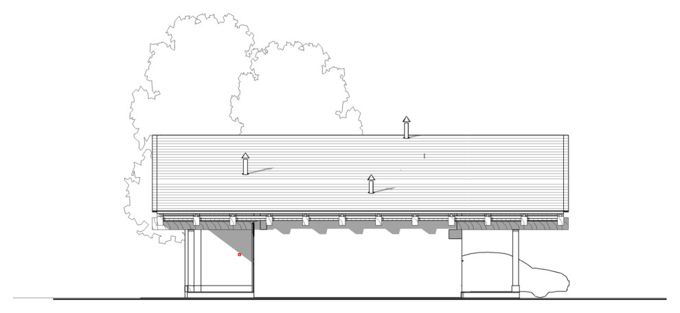 Земляничные поляны