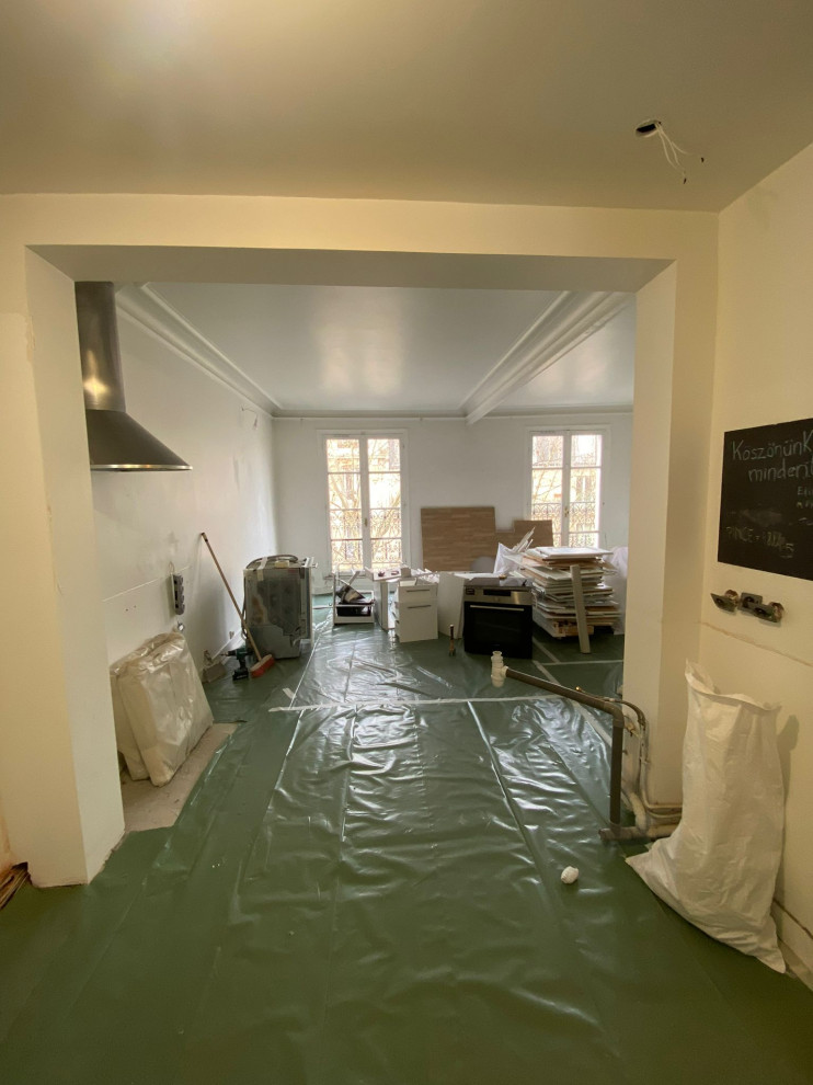 Projet Buttes Chaumont, rénovation d'un appartement de 60m2