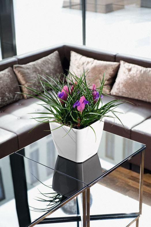 Классика дизайна