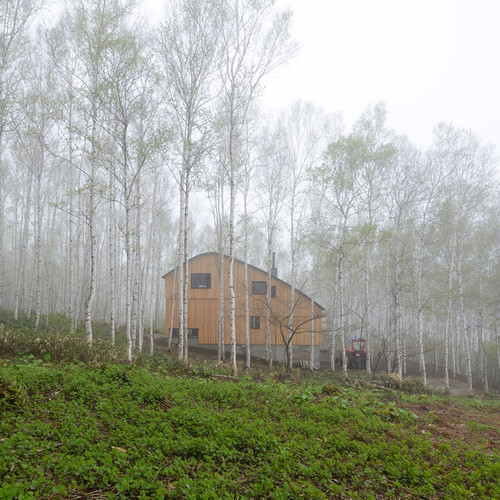 山の中の家 森の中の家 ベスト50 Houzz ハウズ