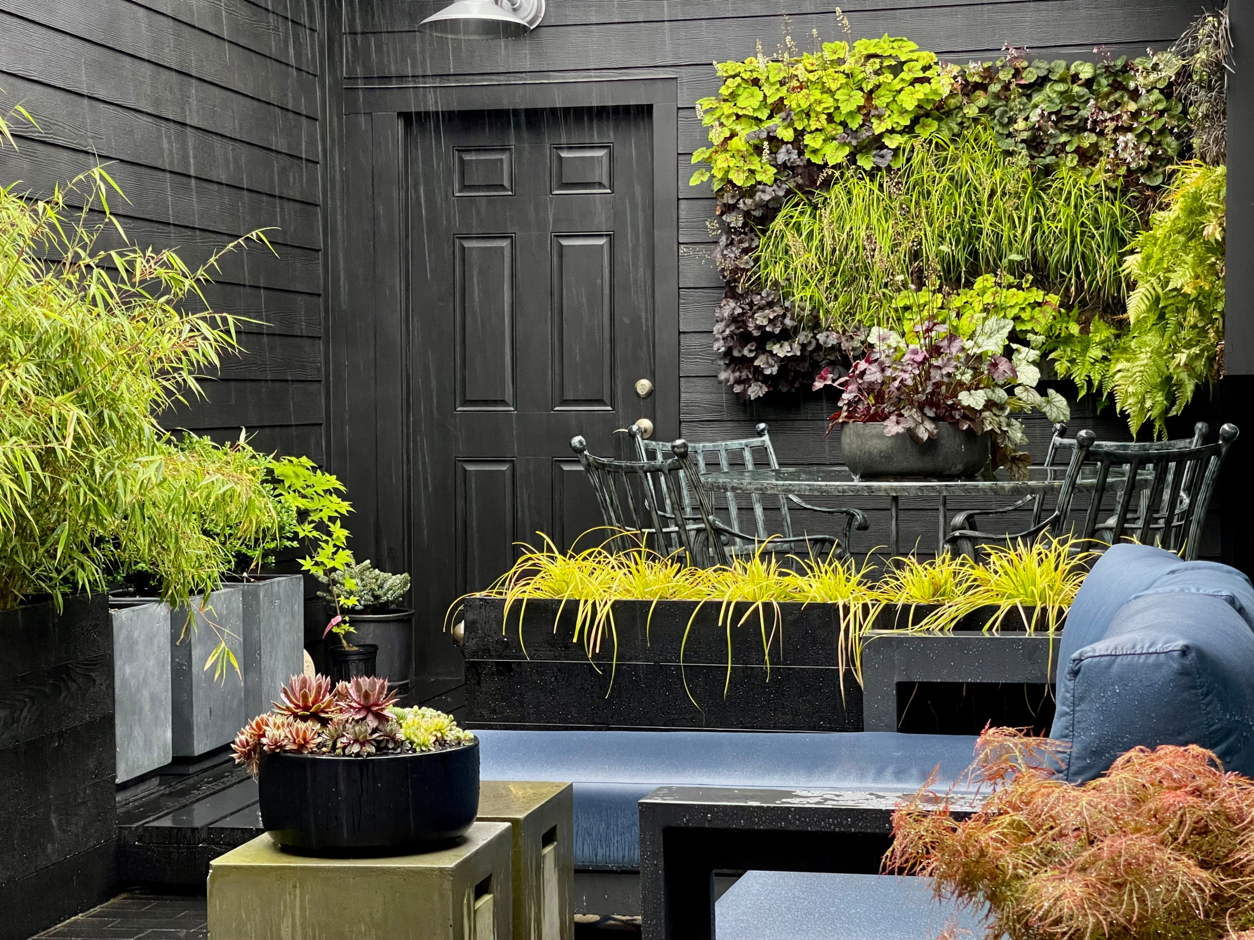 Courtyard on a rainy spring day