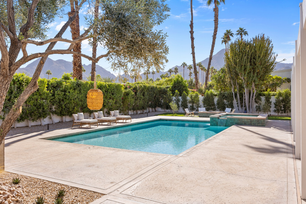 Example of a large transitional backyard concrete and rectangular natural pool landscaping design