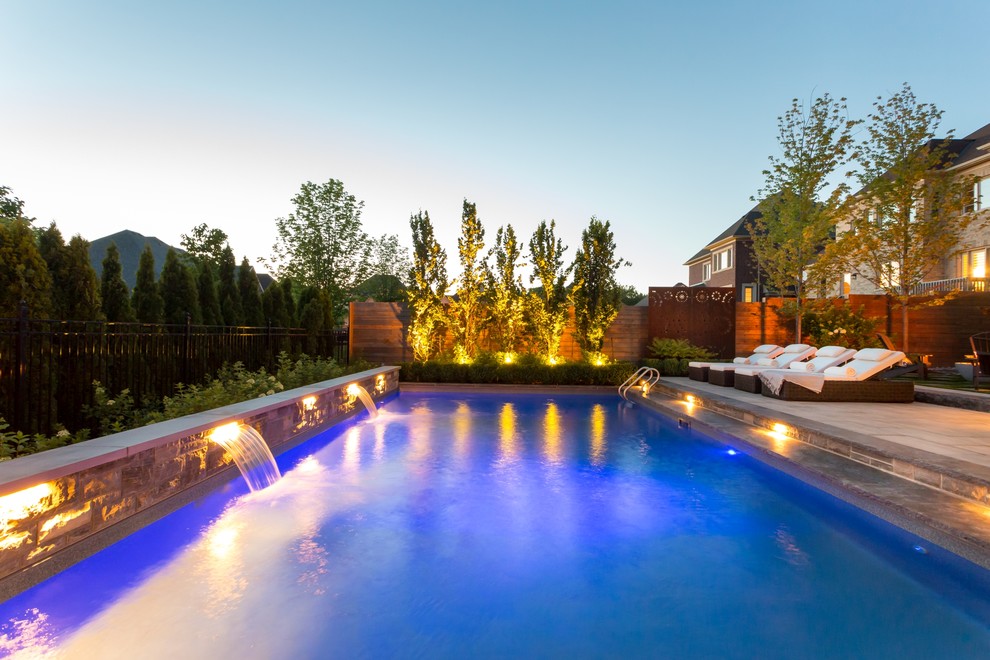 Example of a transitional backyard pool design in Toronto