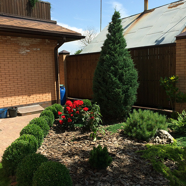 Частное домовладение с контейнерным озеленением крыши.