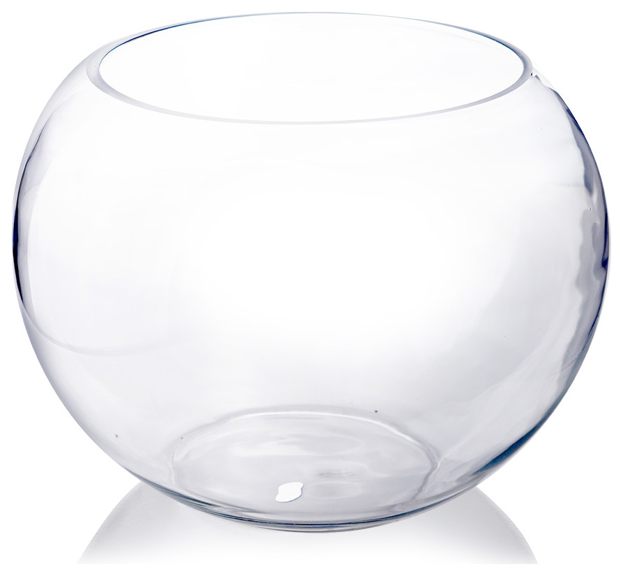 CYS Glass Bubble Bowl Vase, Fish Bowl Aquarium/Terrarium Contemporary