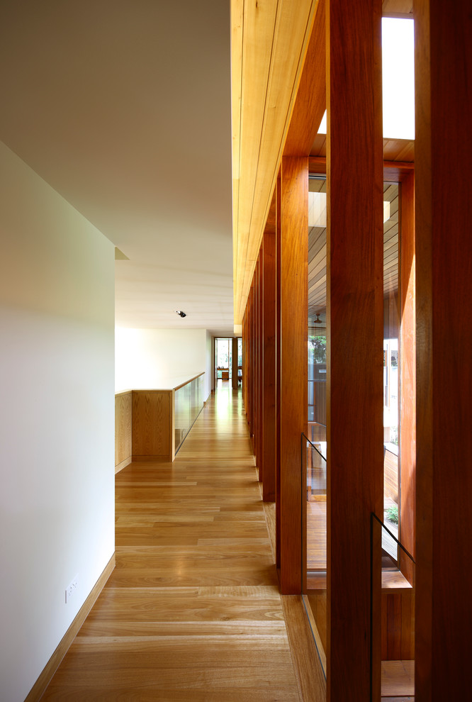 Photo of a large contemporary hallway in Brisbane with white walls and light hardwood floors.