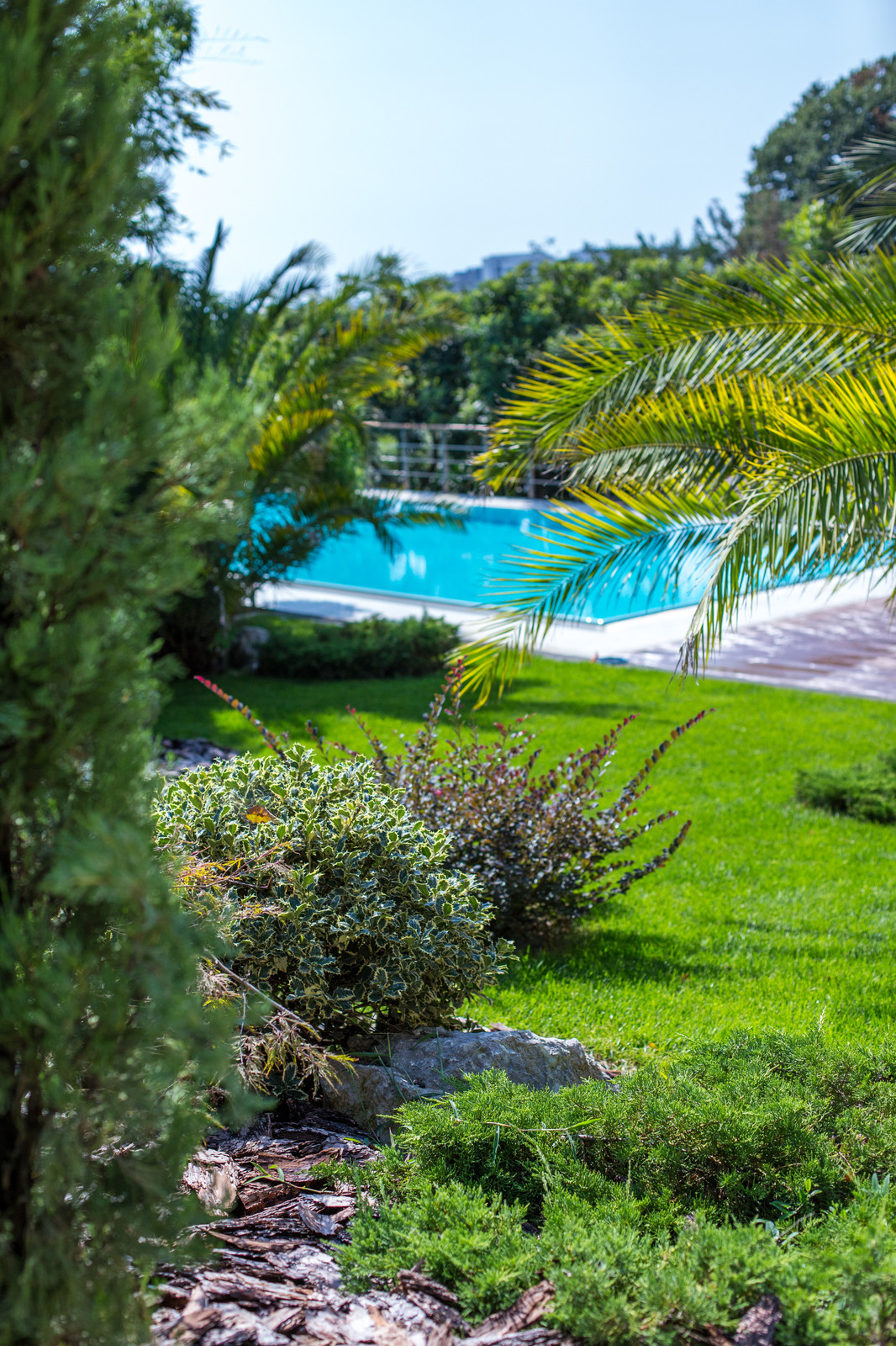 Ландшафтный Дизайн Олимпийский Сочи