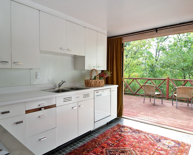 Cabin in the Woods contemporary-kitchen