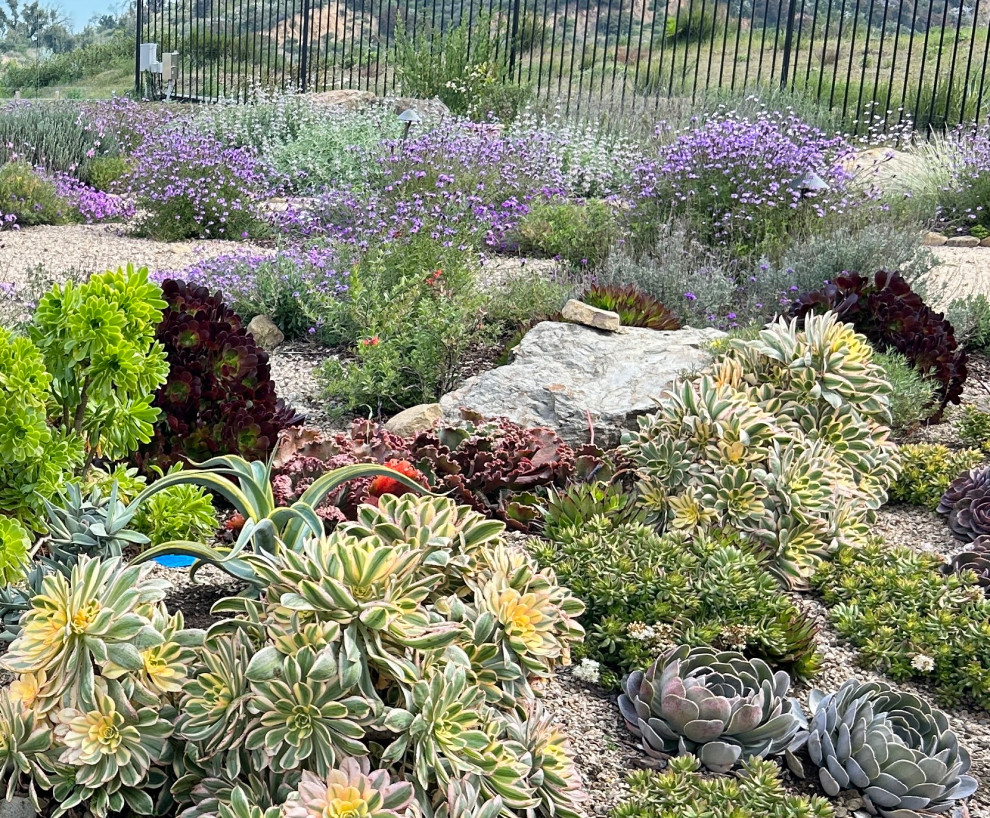Succulent Tapestry