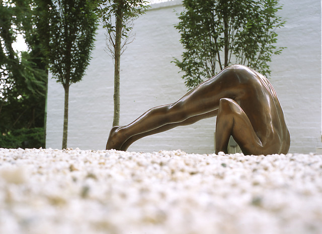 Georgetown Square contemporaneo-giardino