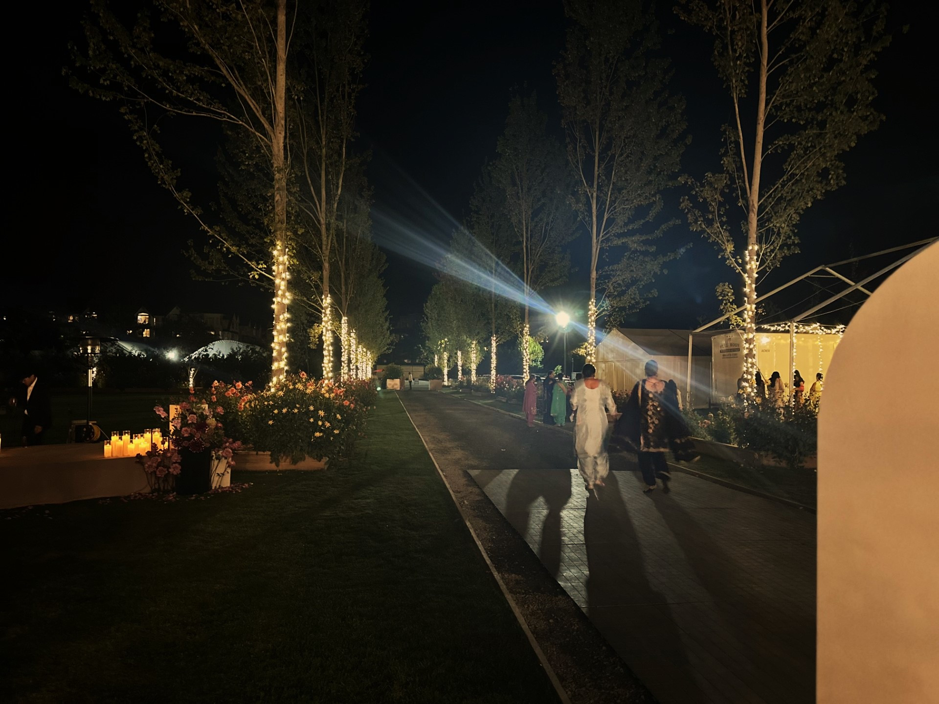 Athiana Acres:  An organic Regenerative Farm