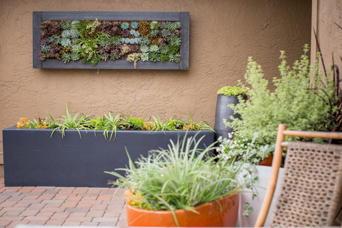 Frontyard Landscape Ideas