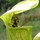Last commented by mike__m