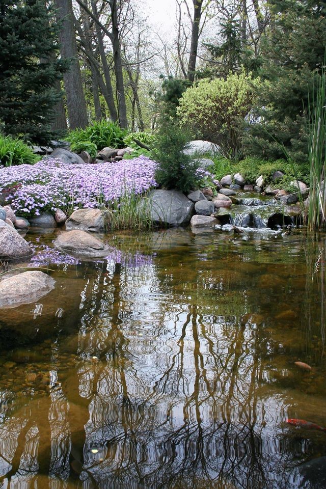 This is an example of a large eclectic backyard garden in Chicago with a water feature.