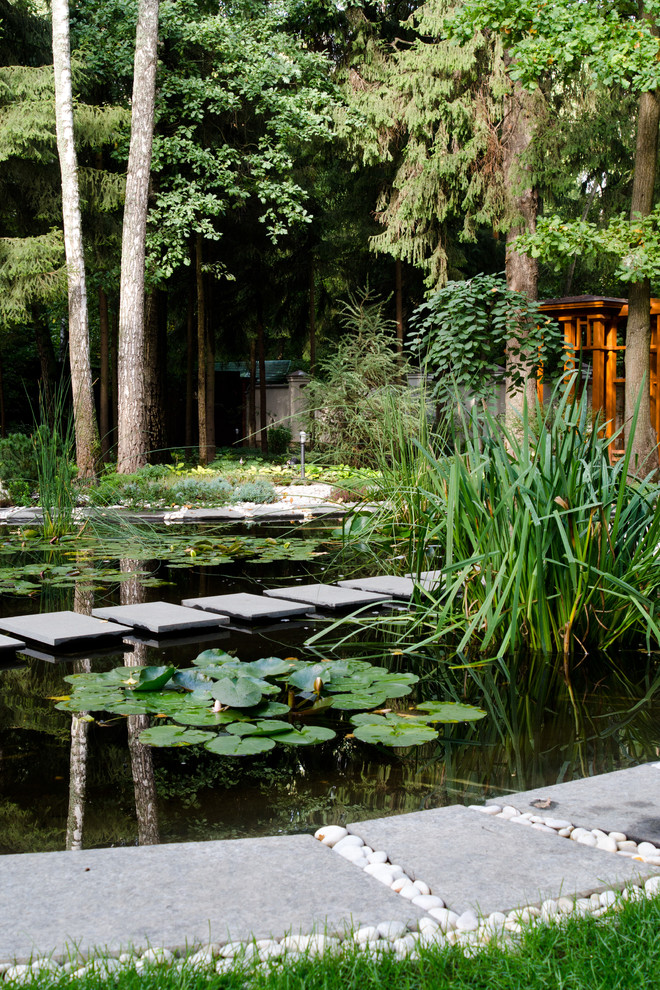 Глянцевый лес