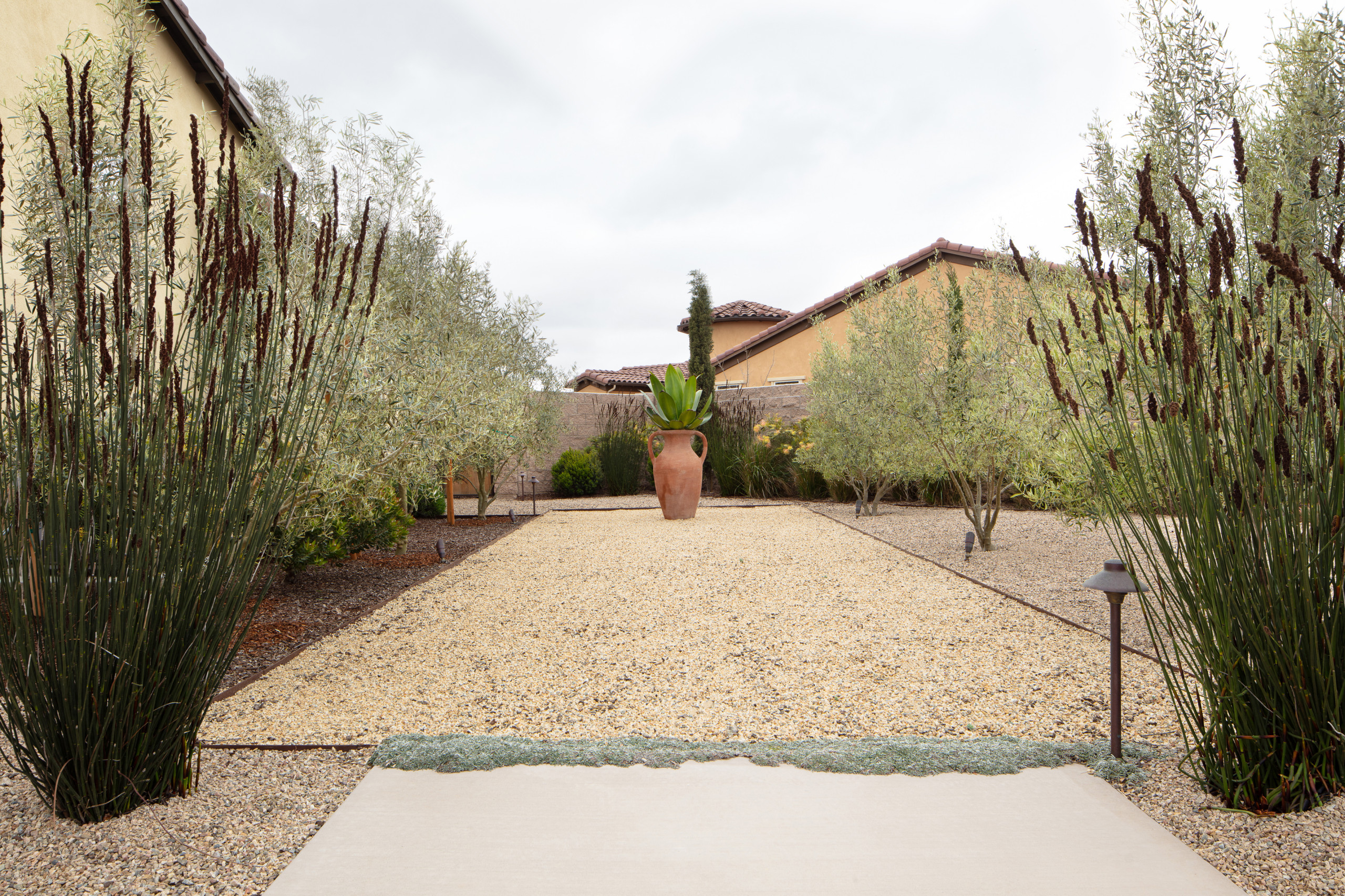 Trilogy Landscape and Outdoor Kitchen