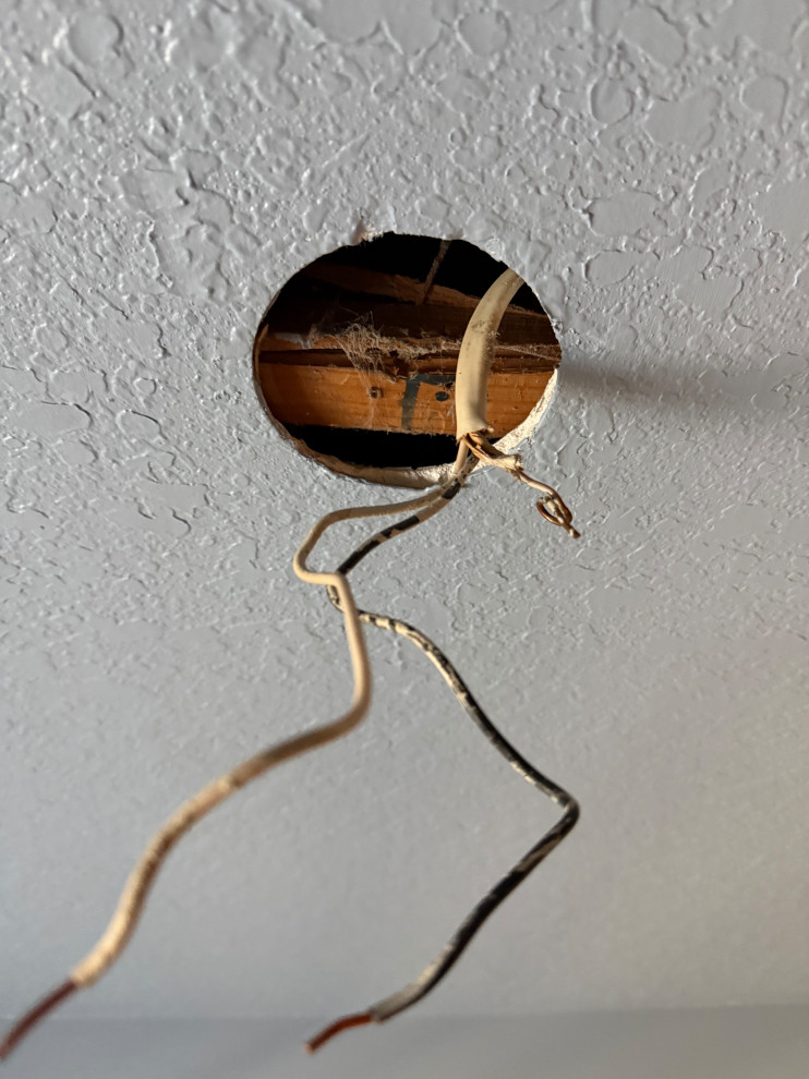 Curated Corners