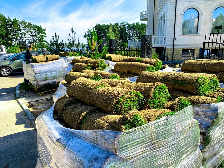 Создание рулонного газона