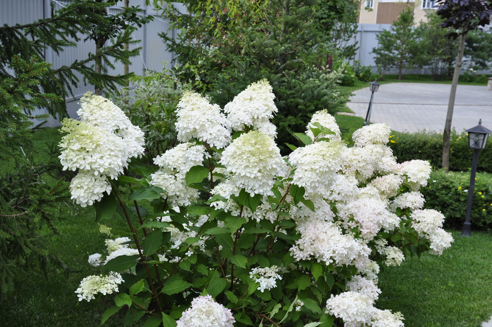 д. Косово - Уход за садом - 100% качество