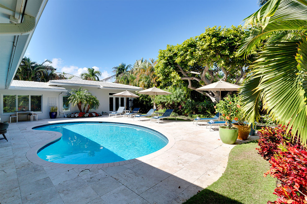 This is an example of a mid-sized contemporary backyard kidney-shaped natural pool in Miami with stamped concrete.