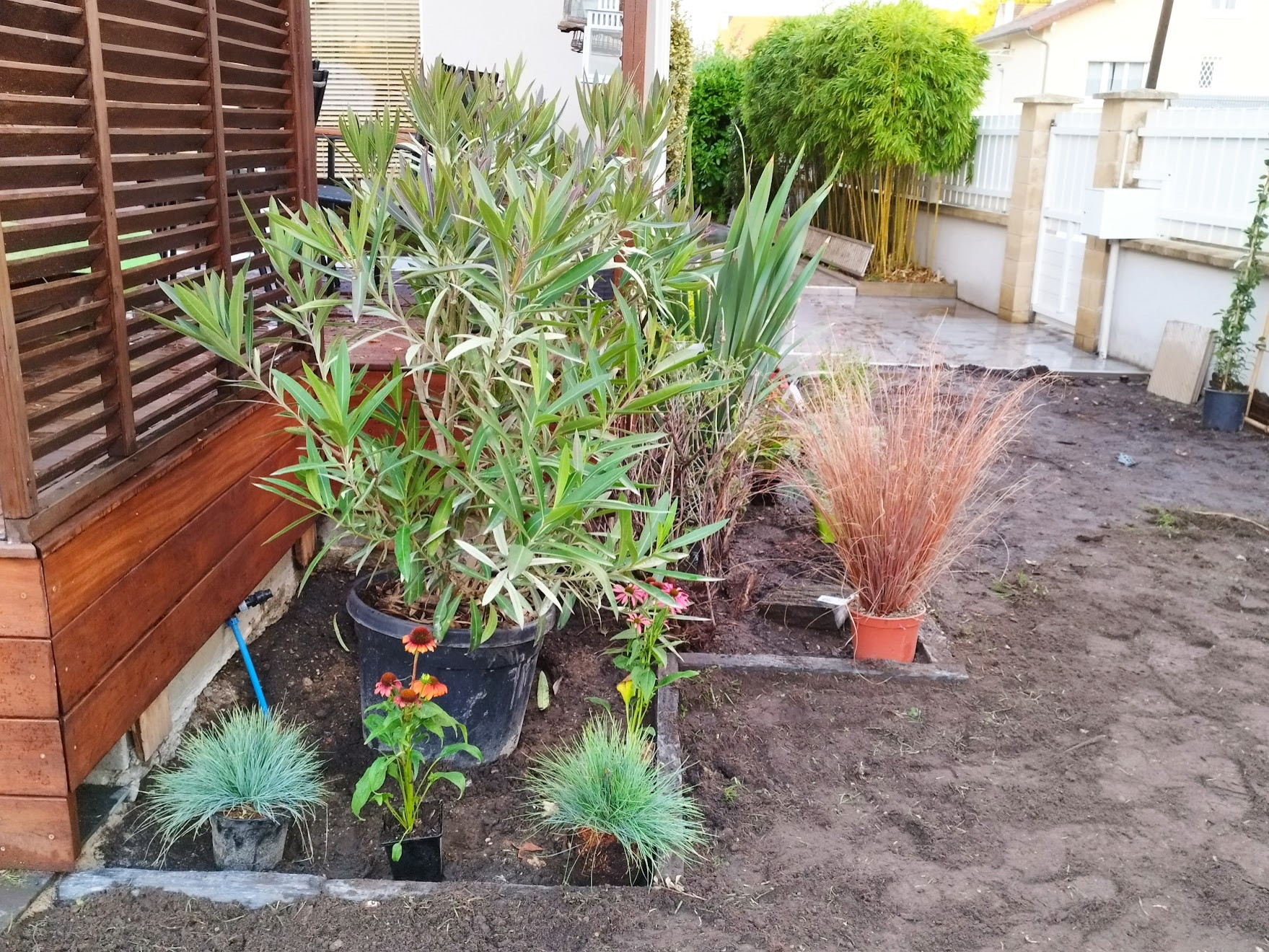 Implantation des végétaux - chaque plante au bon endroit !