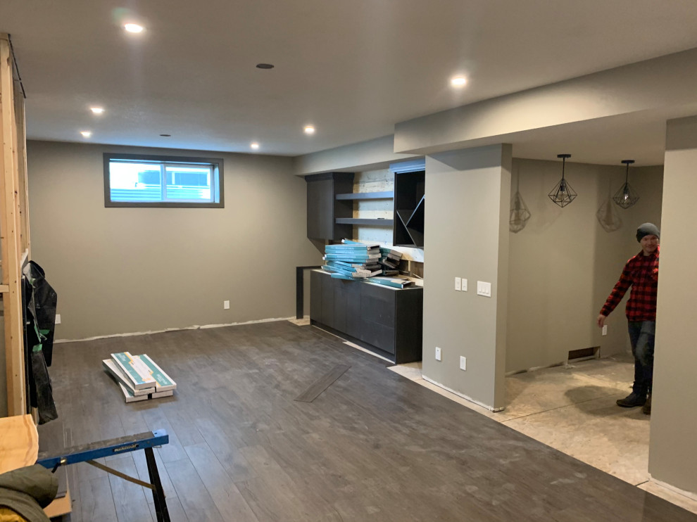 Basement Development