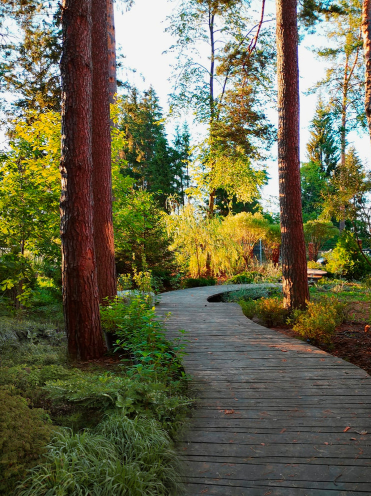 Ландшафтный дизайн участка с лесом В Покровском-Рубцове