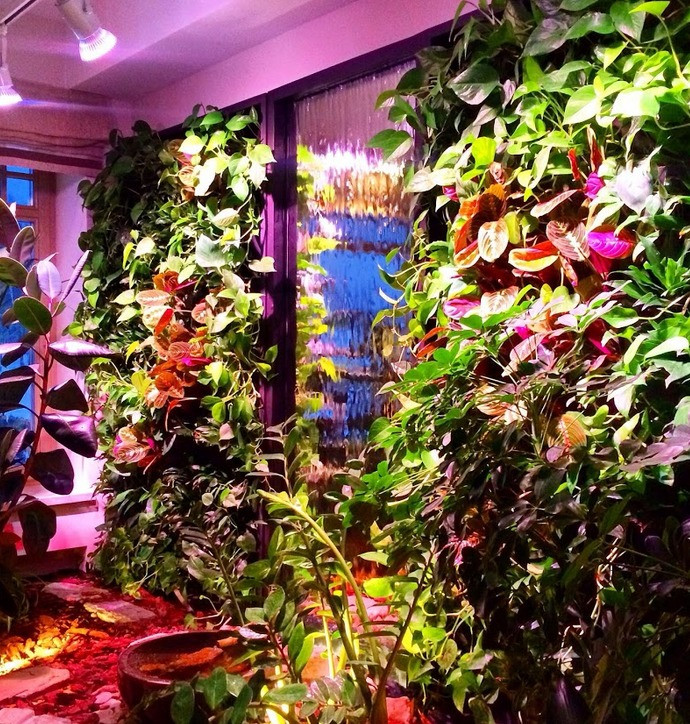 Водопад по стеклу