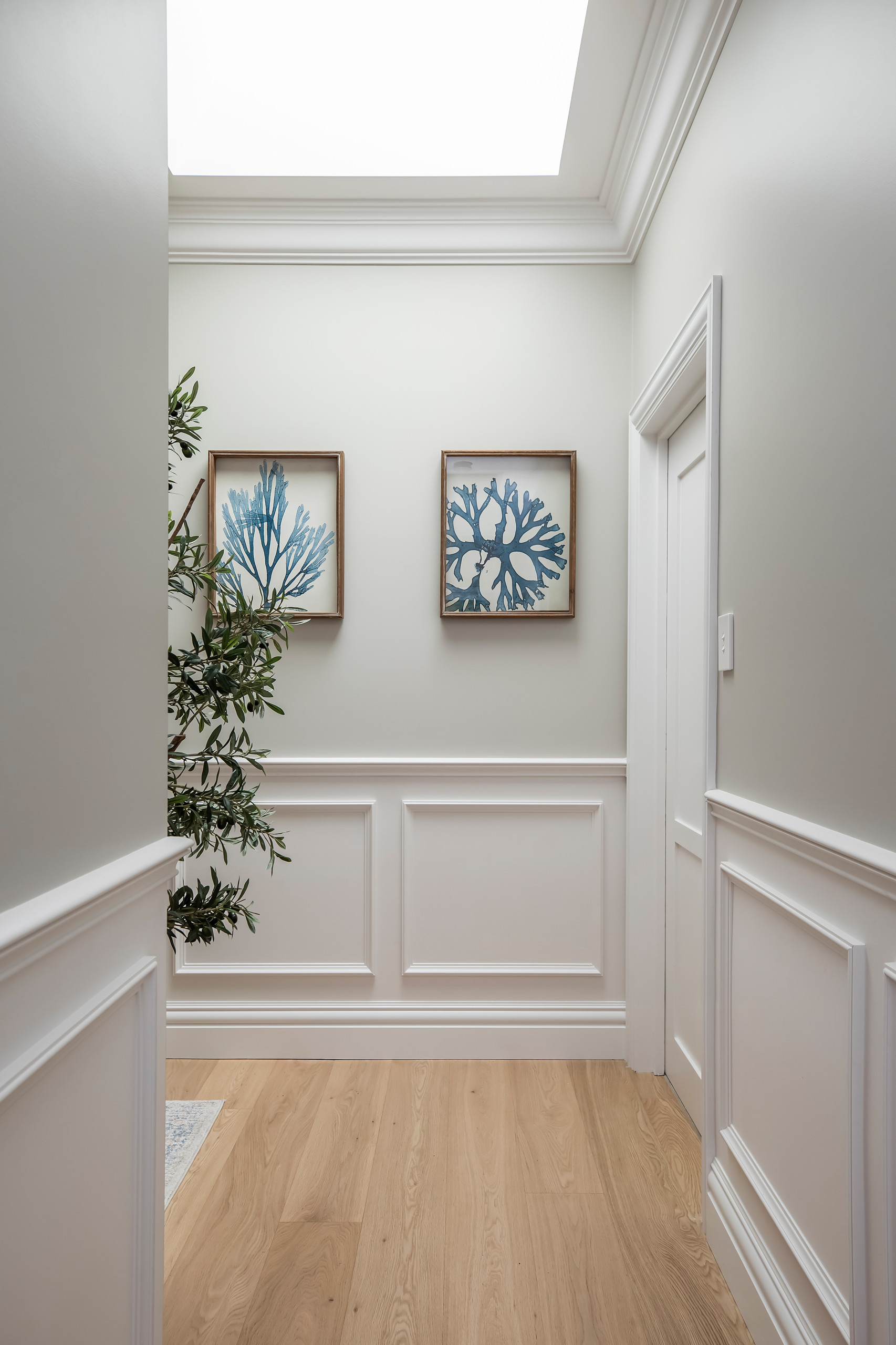 Balgowlah Renovation Project