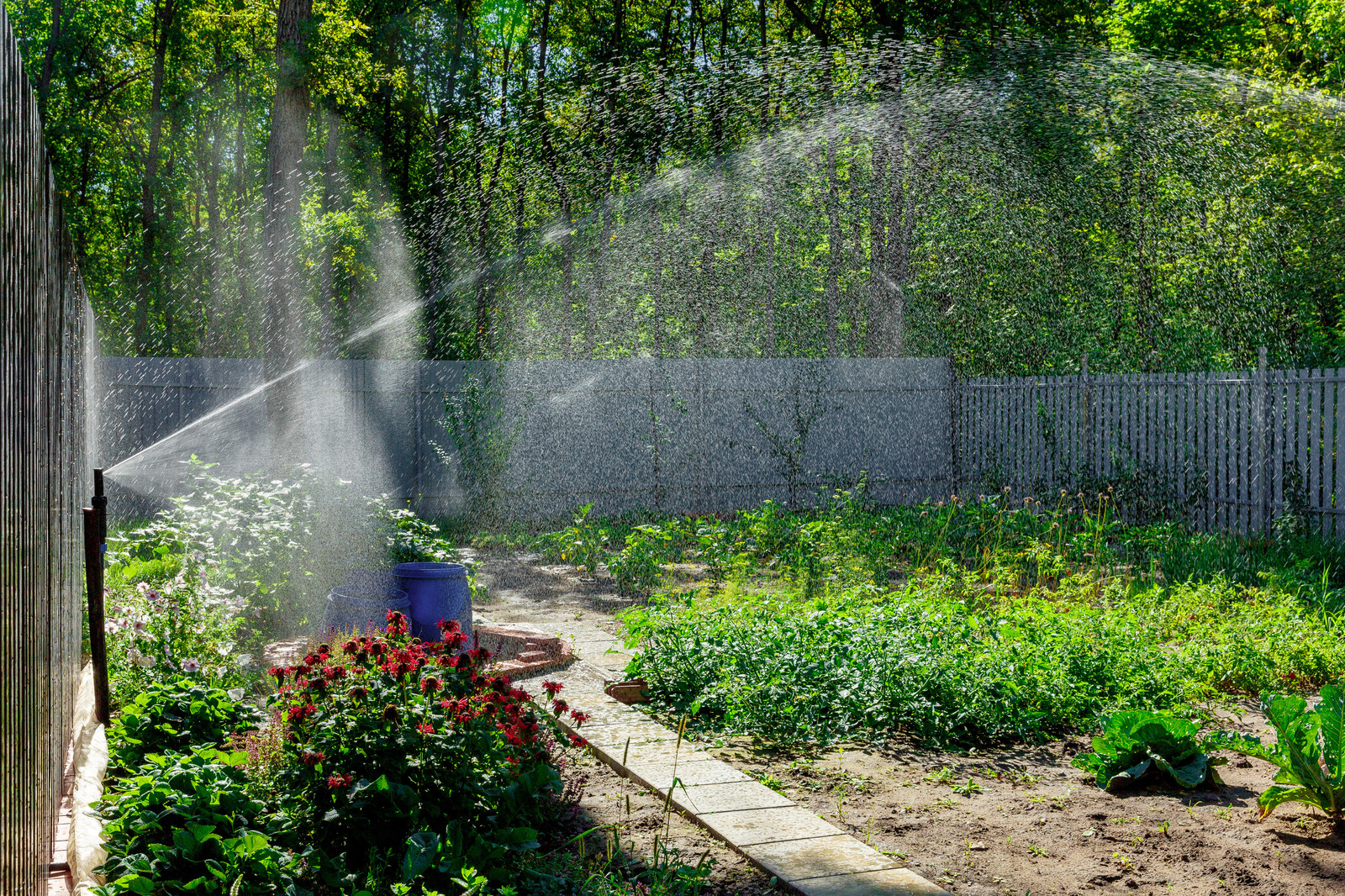 Системы полива