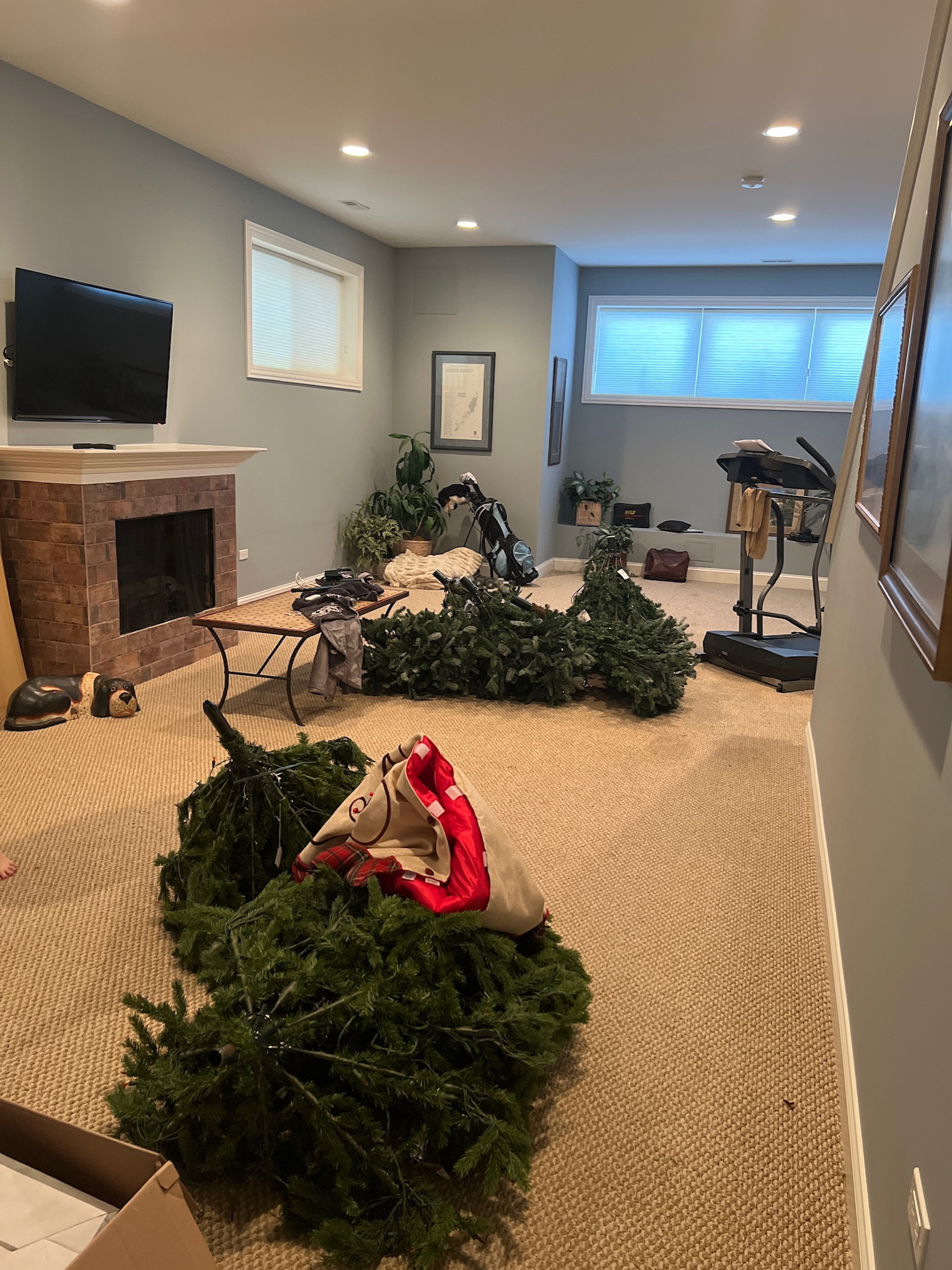 Bucktown, basement remodel