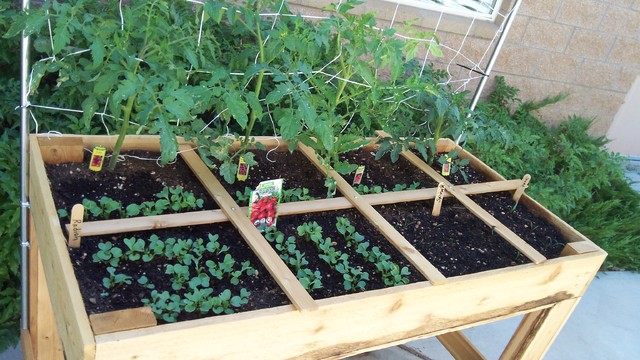 Maximize Harvests With Square Foot Gardening