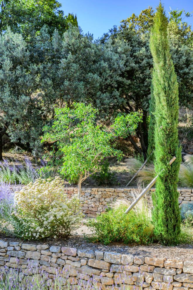 Tourtour - jardin méditerranéen contemporain