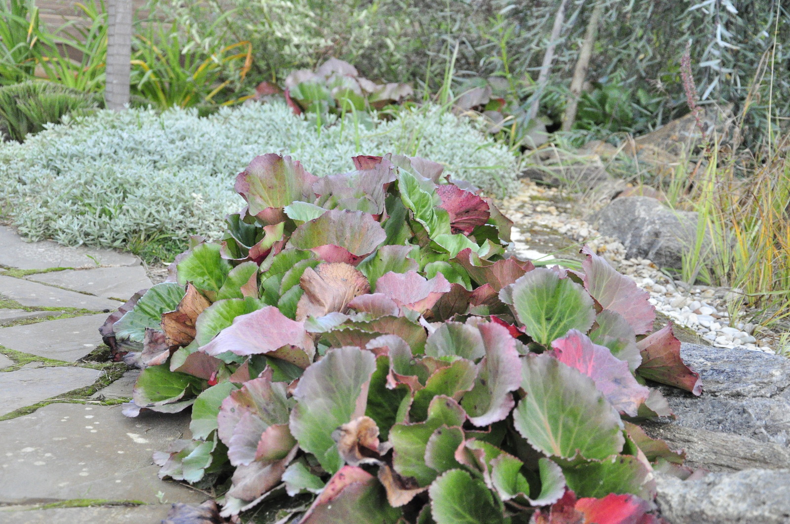 д. Коровино - Уход за садом - 100% качество