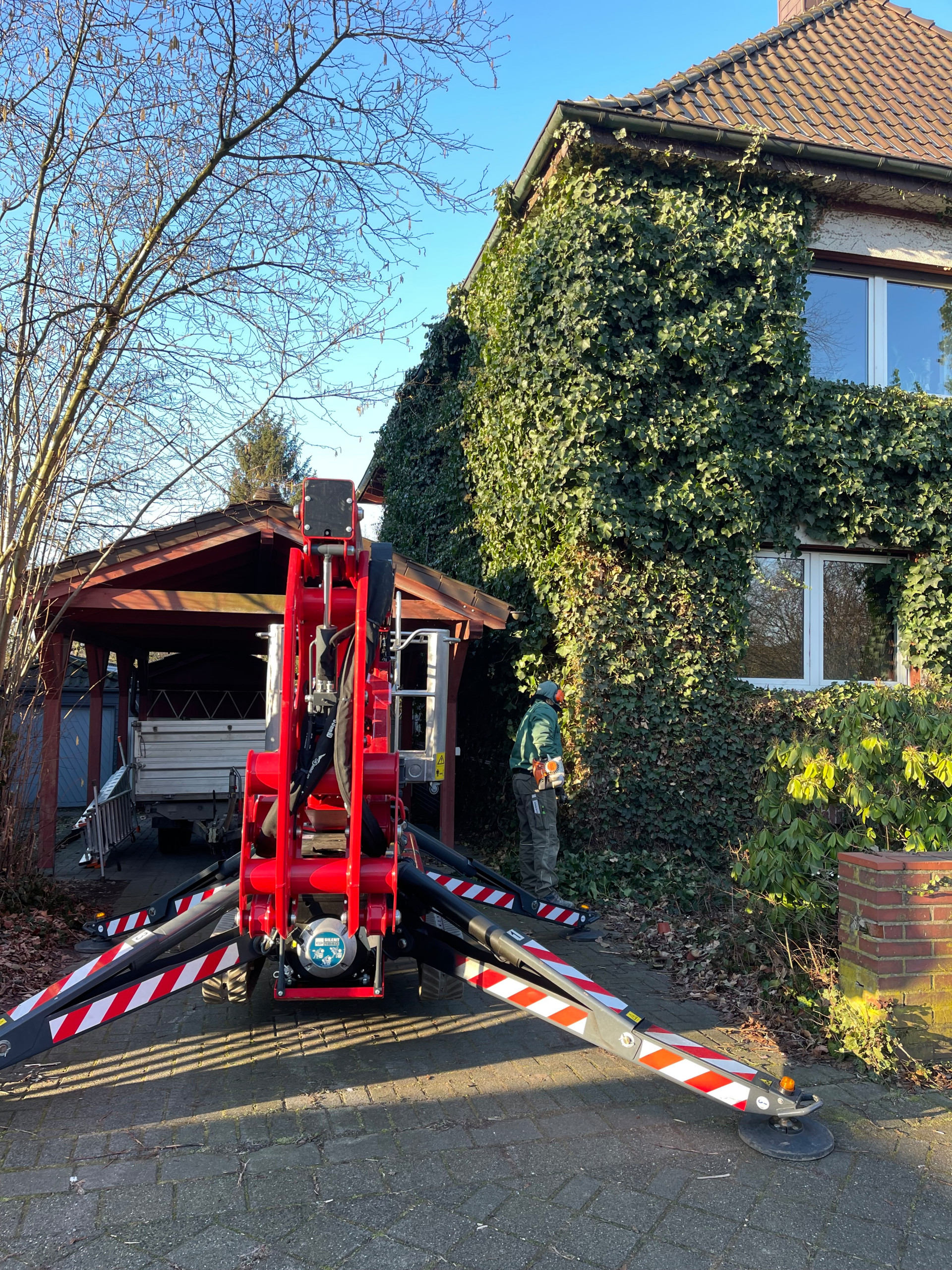 Efeu mittels Hubsteiger entfernt
