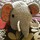 Last commented by Andrea  ME z5b