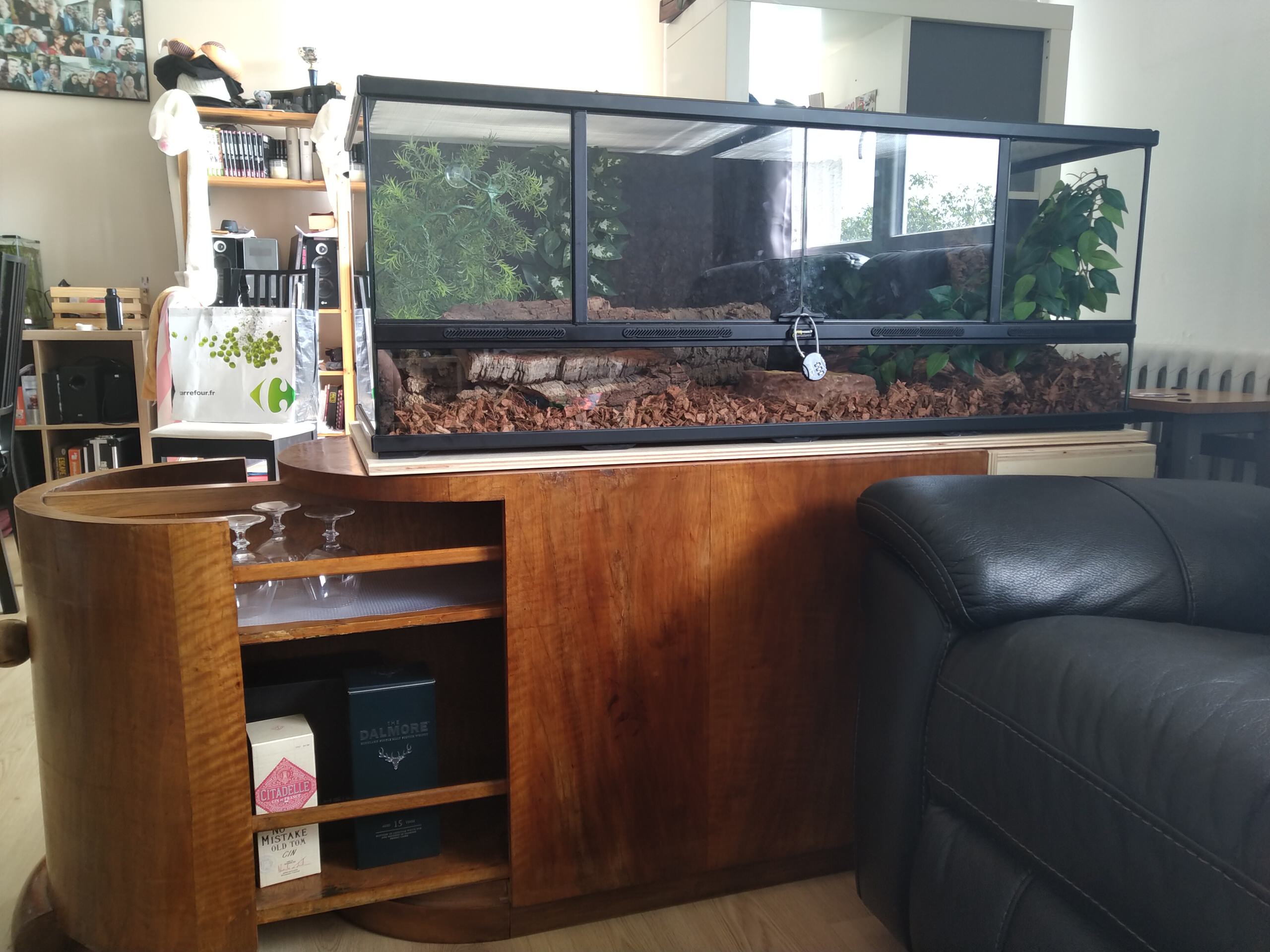 Le bar installé avec son locataire