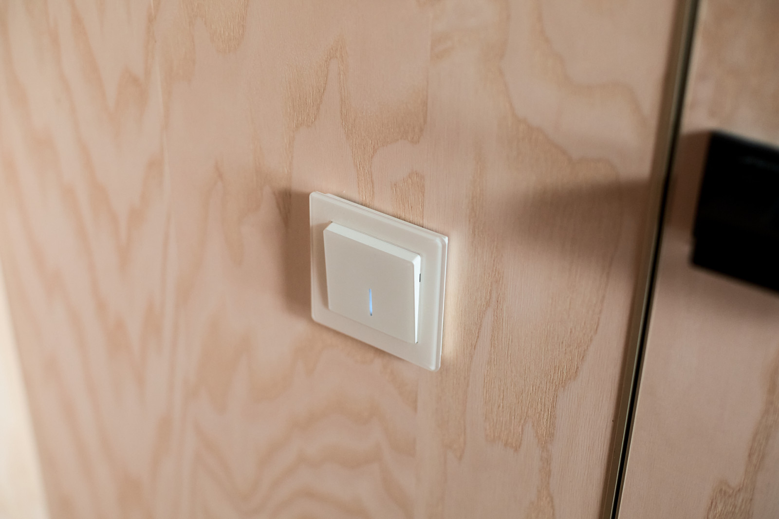 Werkel в новом проекте Екатерины Беляевой