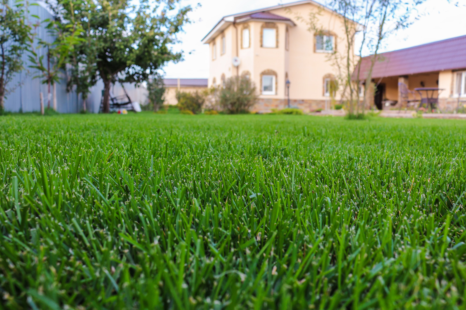 Сад для двоих