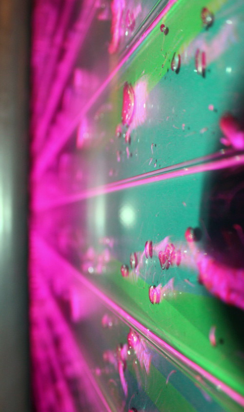 Пузырьковая остановка (г.Киев  ул.Крещатик)