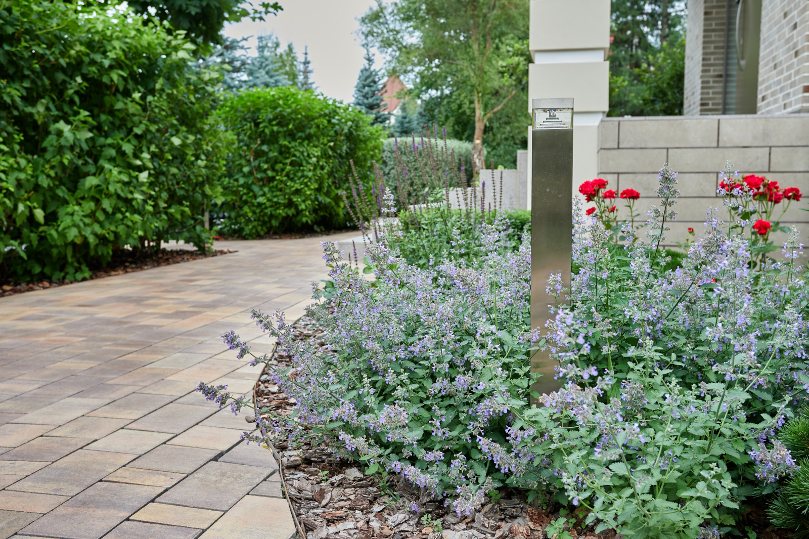 Чистые линии