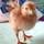 webuser_9323816