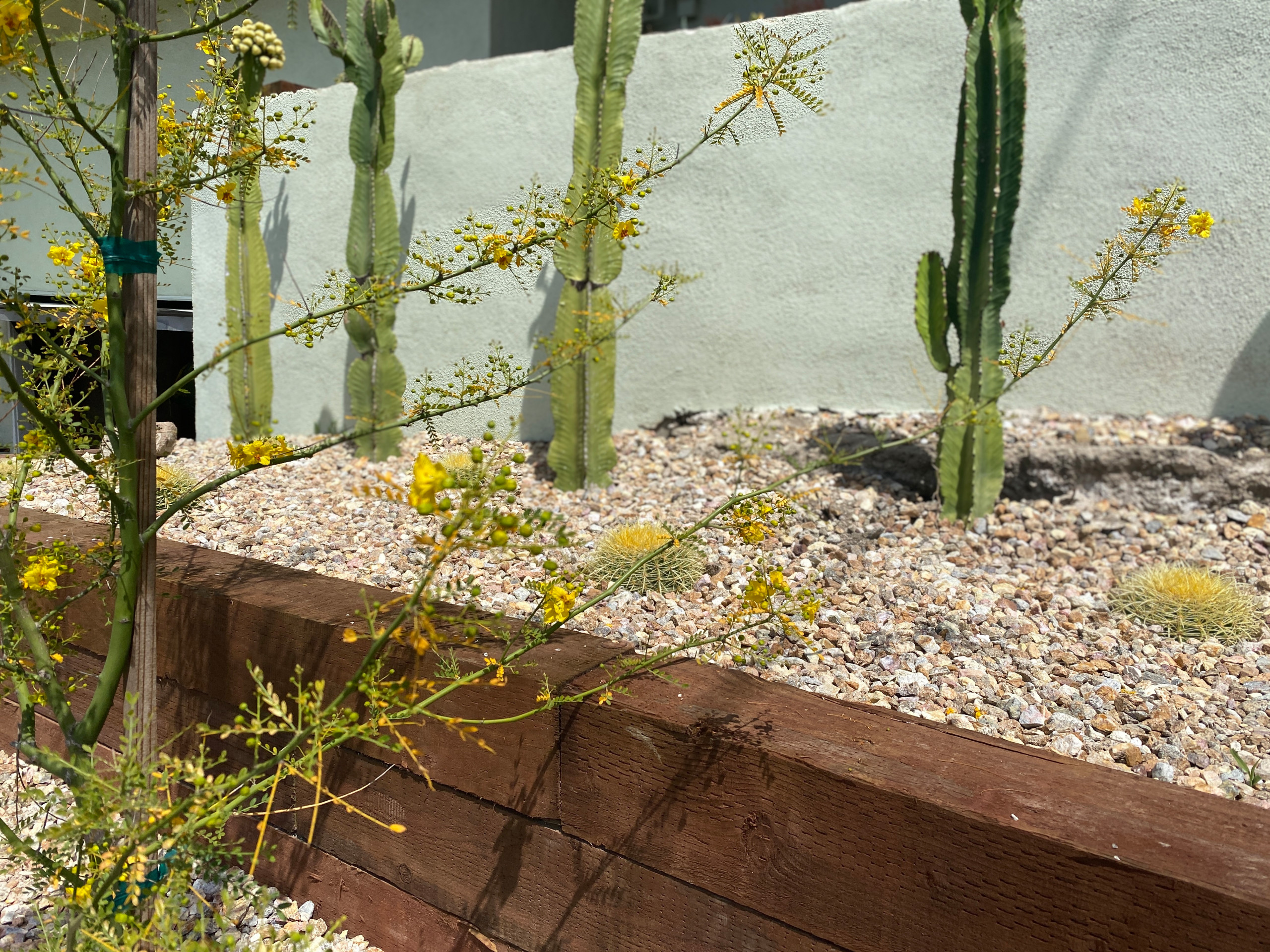 San Pedro, CA: Palm Springs Mid-Mod by the Beach