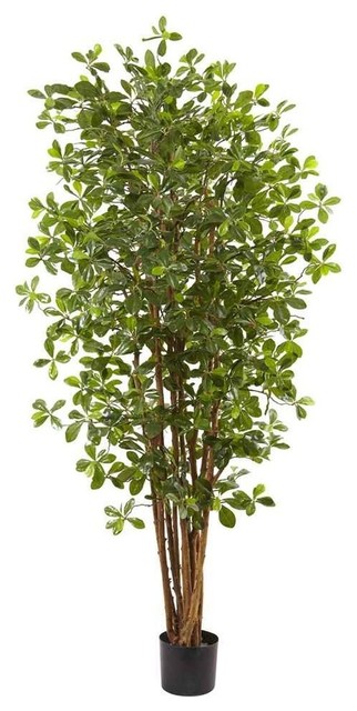 Black Olive Silk Tree Decor Artificial Plants And Trees By Black Olive Silk Tree Decor