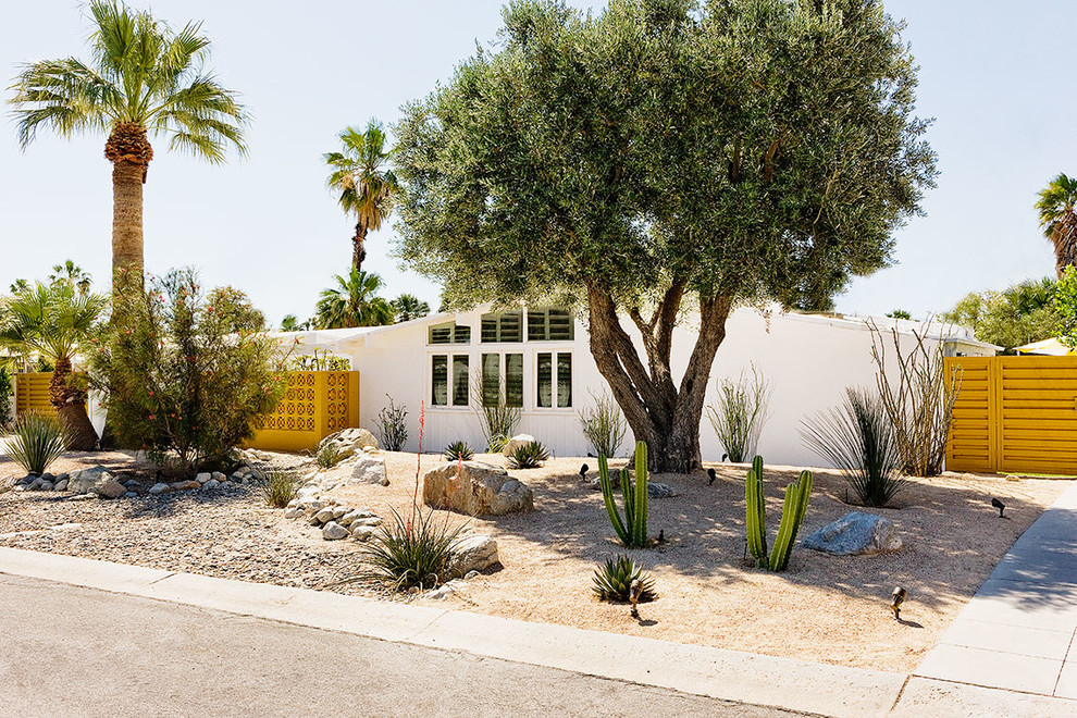 Midcentury front yard xeriscape in Los Angeles.