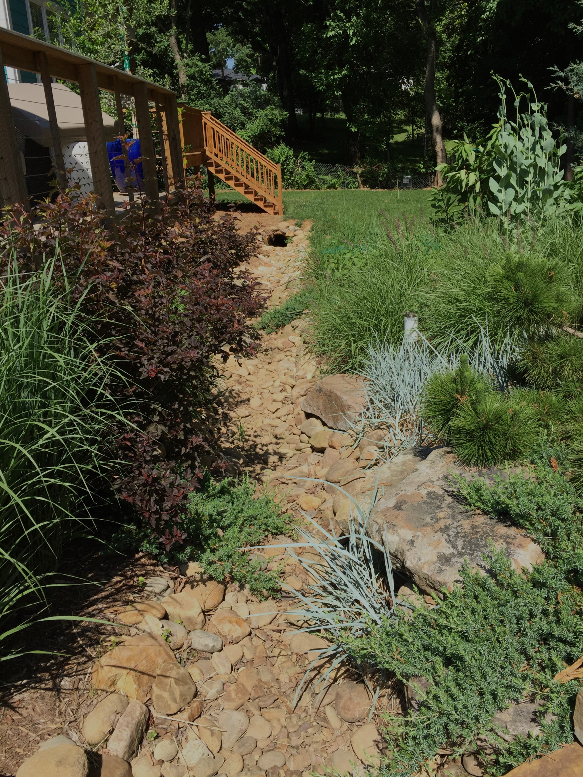 Drainage ditch turned creek bed/meadow garden