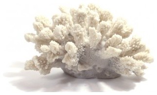 Resin Coral Sculpture